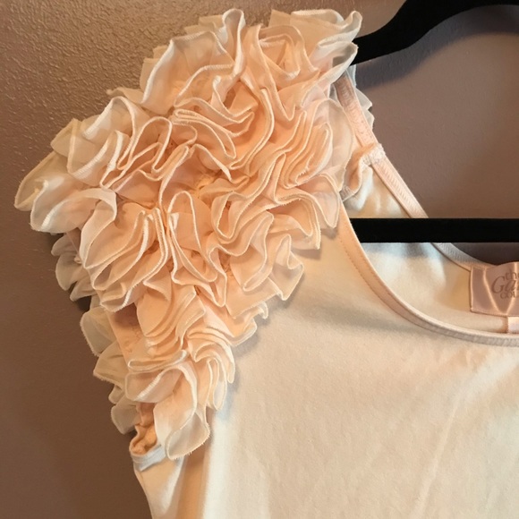 H&M Garden Collection | Pink Ruffle Sleeve Dress - Picture 3 of 5